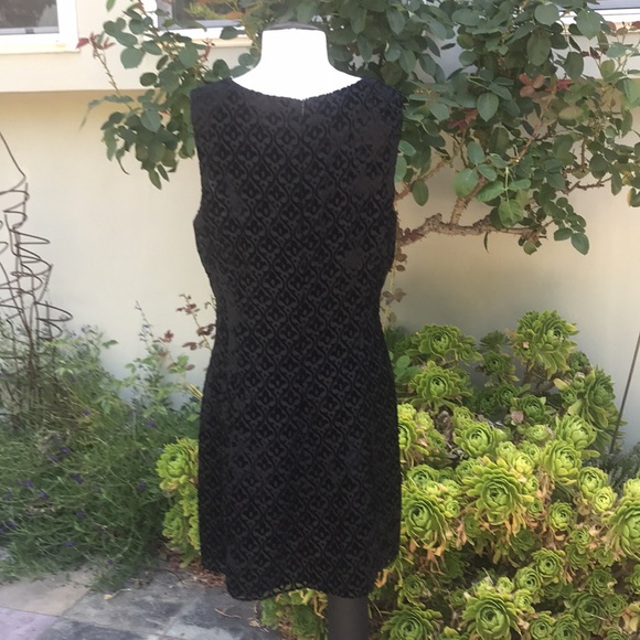 Fit and flare skater style dress - Picture 3 of 5